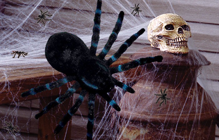 Die richtige Dekoration für Halloween: Überall Spinnen