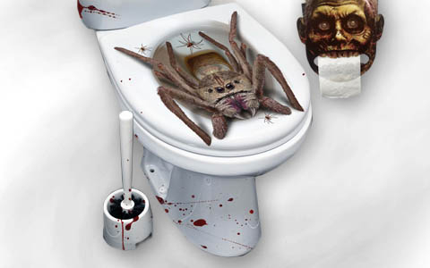 Bathroom & toilet decoration