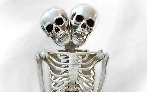 Skeleton & Skull Decoration