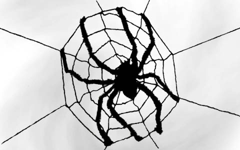 Spinnen, Netze & Ungeziefer