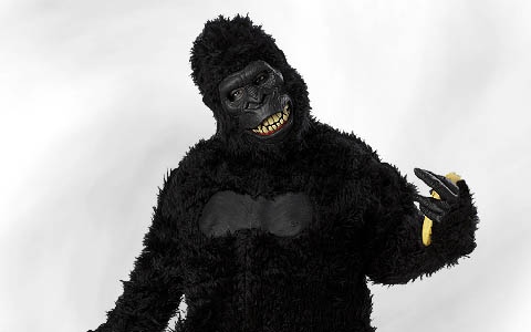 Animal costumes