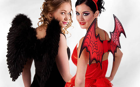 category image of the category “wing”