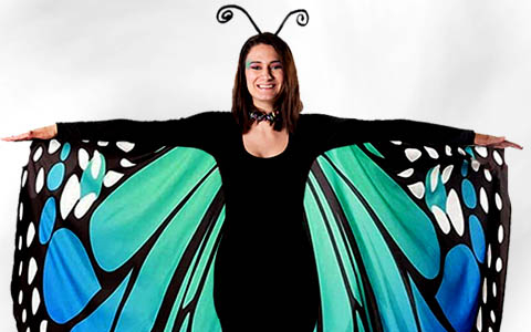 category image of the category “Butterflies”