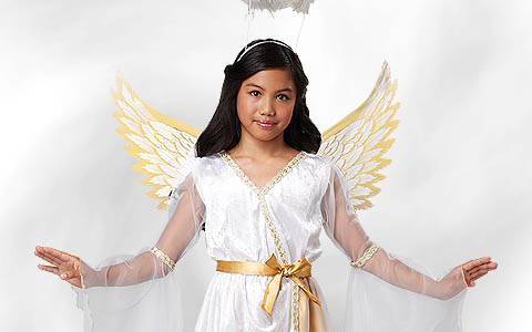 category image of the category “Christmas Angel Costumes”