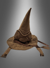 Sorting Hat from the Wizard School  Sorting Hat from the Wizard School