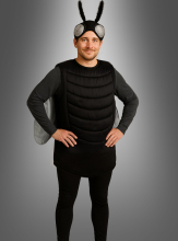 Fly costume Adult 