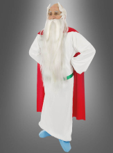 Original Panoramix Costume 