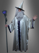 Silver Wizard Costume Adult with Wig 