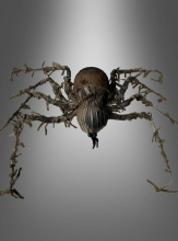 Braune Riesenspinne 60cm  Braune Riesenspinne 60cm