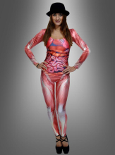 Sexy Suit for Ladies 