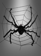 Gigantisches Spinnennetz 240cm mit Spinne  Gigantisches Spinnennetz 240cm mit Spinne
