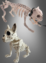 Halloween Skeleton Dog Decoration  Halloween Skeleton Dog Decoration