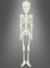 Life-Size Skeleton buyable at » Kostümpalast.de