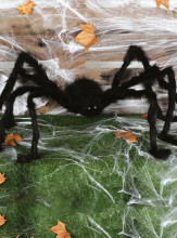 Überlebensgroße Spinne 150cm mit LED Augen  Überlebensgroße Spinne 150cm mit LED Augen