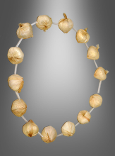 Garlic Necklace  Garlic Necklace