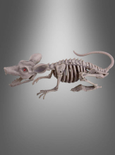 Große Ratte Skelett 38cm mit LED Augen 