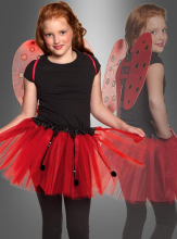 Ladybug Wings Set for Children 