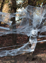 Spiderweb Big Pack 500g with spiders  Spiderweb Big Pack 500g with spiders