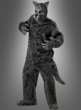 Big Bad Wolf costume  Big Bad Wolf costume