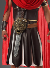 Roman Sword with Belt 