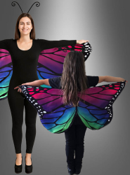 Artikelbild 1 des Artikels “Schmetterlingsflügel lila-bunt “