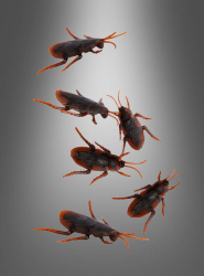 Product image 1 of the product “Cockroach Halloween Decorations 6 pcs ”
