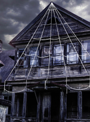 Artikelbild 1 des Artikels “Spinnennetz 5 Meter Riesige Halloween Deko “