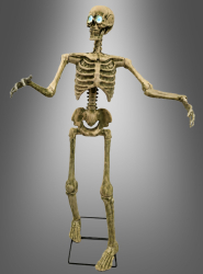 Artikelbild 1 des Artikels “Bewegliches Skelett Halloween Deko 150 cm “