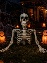 Product image 1 of the product “Life-size Skeleton Torso Halloween 104cm ”