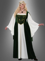 Product image 1 of the product “Fairy Queen Plus Size Costume ”
