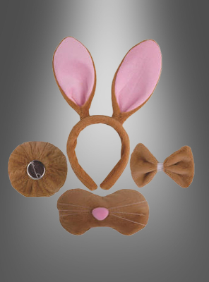 Bunny Costume Set for children 