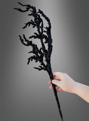 Glittery black Branch 