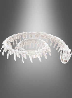 Snake Skeleton Halloween Decoration 