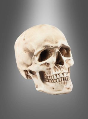 Solid skull 21cm deluxe polyresin 