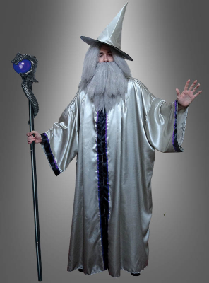 Silver Wizard Costume Adult with Wig 