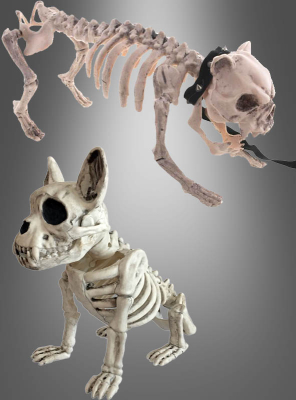 Halloween Skeleton Dog Decoration 