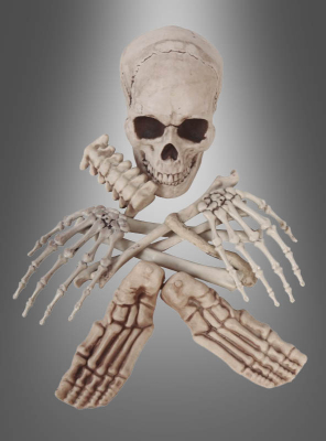 Human Skeleton Bones Decoration 