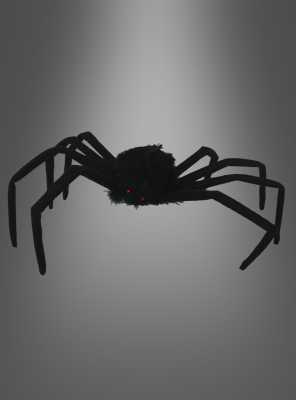 Schwarze Spinne 50cm 