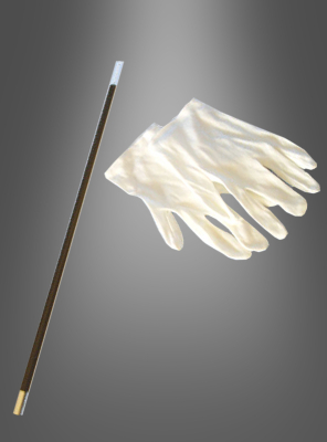 Zauberstab und Handschuhe 