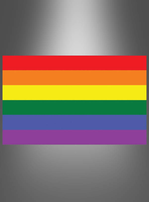 Große Regenbogen Fahne 90x150cm 