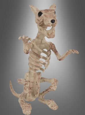 Große Skelett Ratte 18cm Deko stehend 