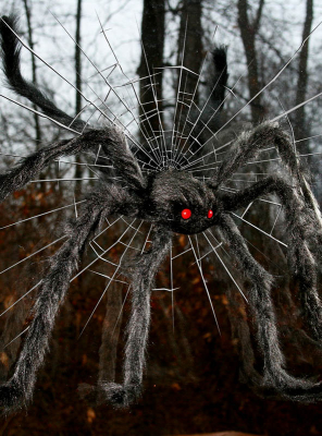 Halloween Spinnen & Fledermäuse online kaufen » Kostümpalast