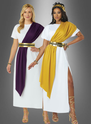 Devine Roman Toga Costume 