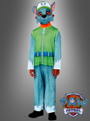 Paw Patrol Rocky Costume 
