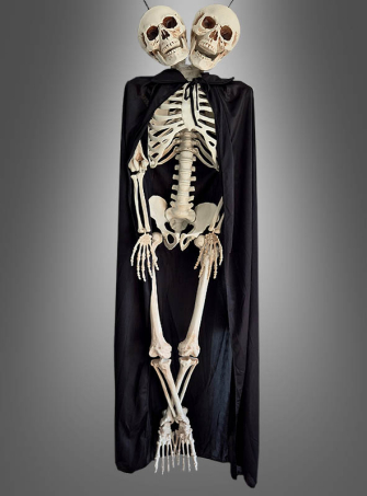Skelett lebensgroß 153cm mit zwei Köpfen 