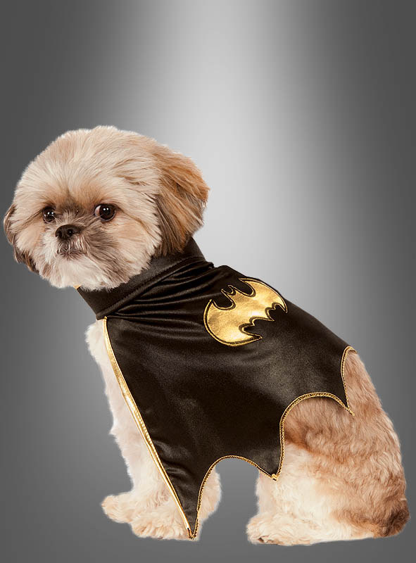Batgirl Costume for Dogs Cape