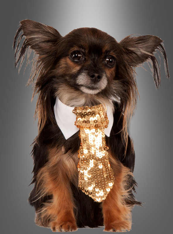 Golden Tie for Dogs