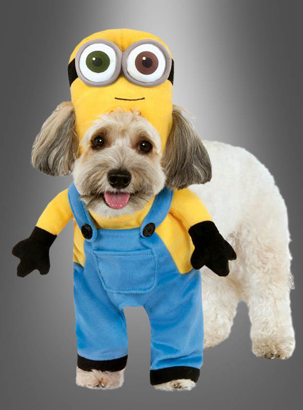 Minion Kostüm für Hunde bei Kostümpalast