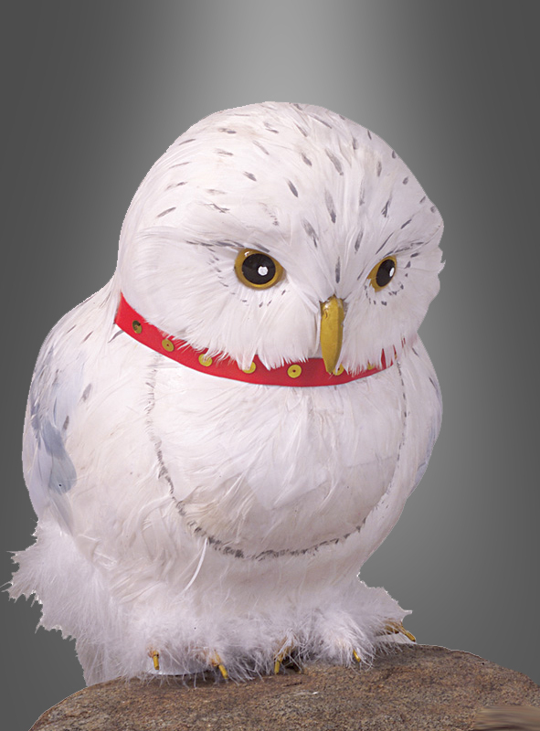 Weiße Eule Hedwig Deko Schneeeule