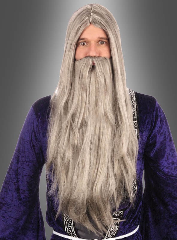 Wizard long Beard grey with Wig Adult
